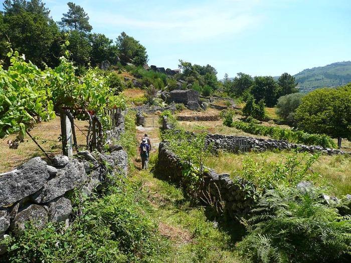 Casa da Gandarela Villa Soajo Exterior foto